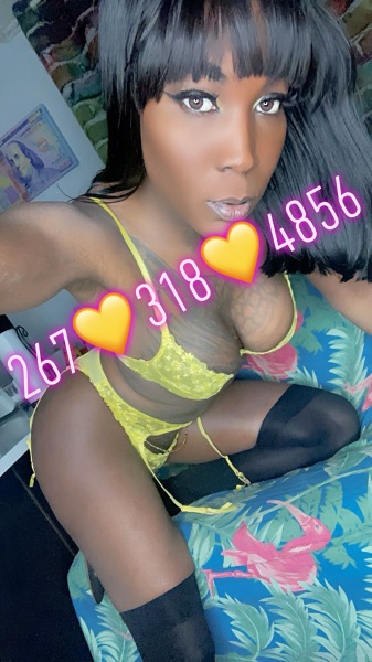 CarribeanStasha